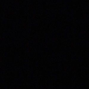 Meet your Posher, Tylor